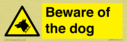 beware-of-the-dog-with-dog-warning-symbol~